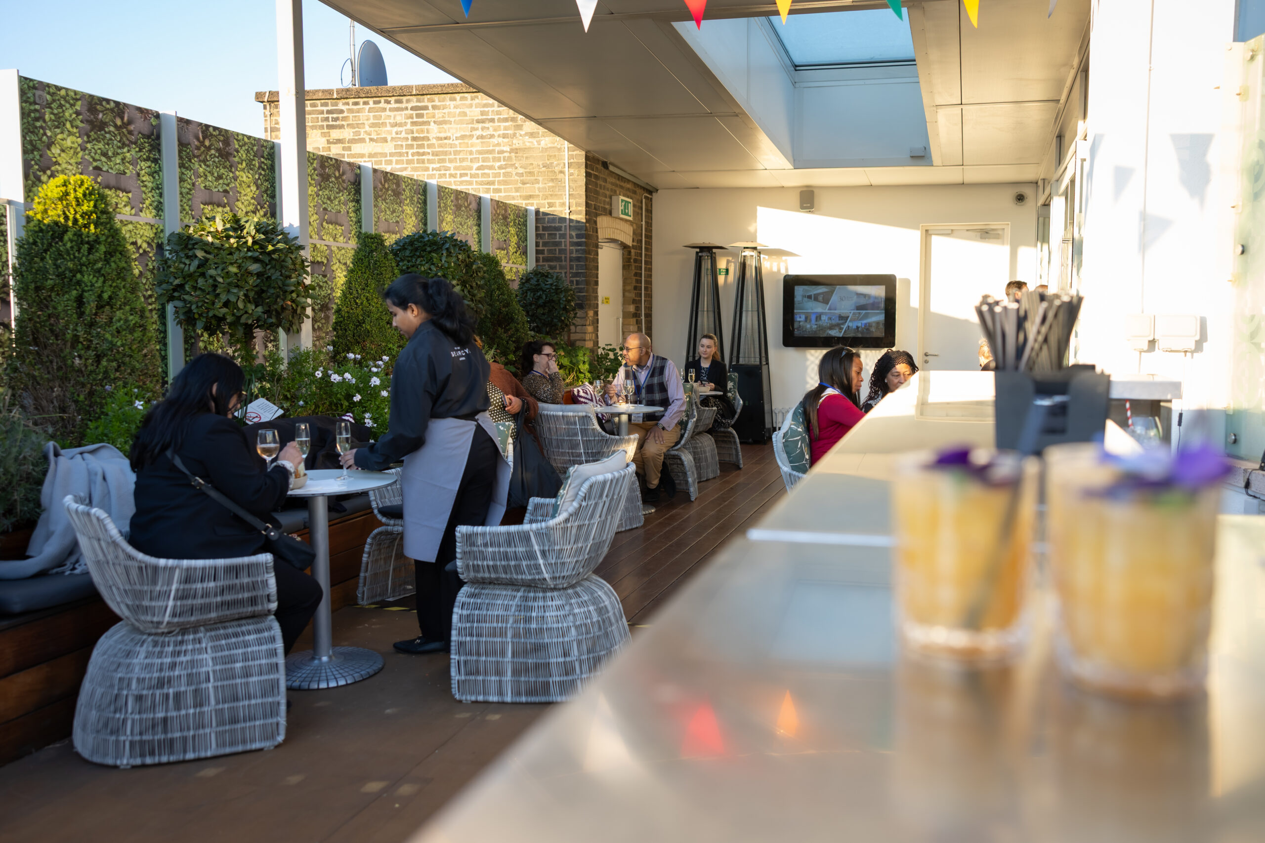 Terrace Summer